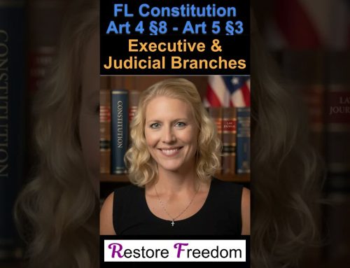Executive & Judicial Branches! FL Constitution Series Part 6 – S5E83